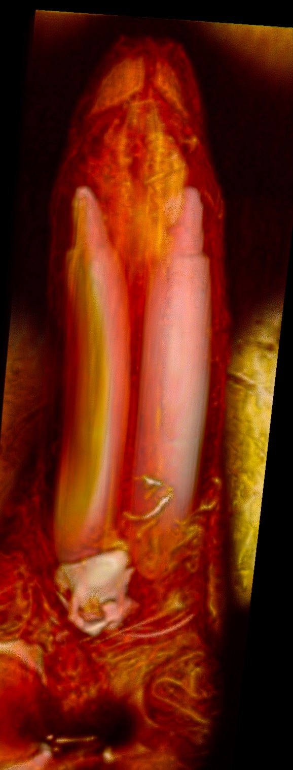 Screenshot t2_space_sag_p4_320 #2.jpg