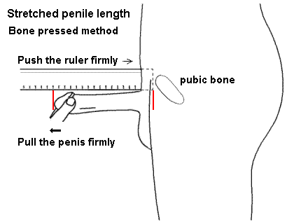 Sizing.png