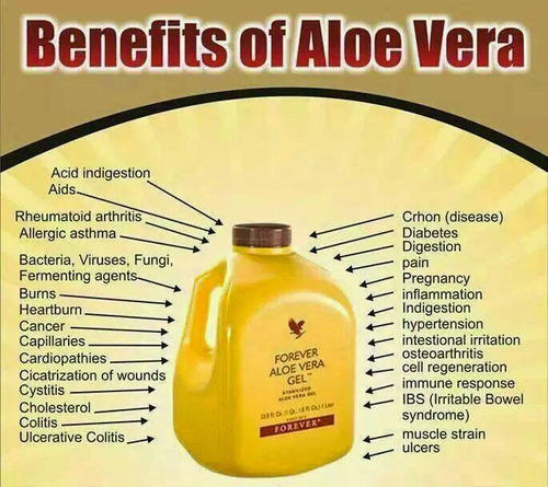 forever-living-aloe-vera-gel-500x500.jpg