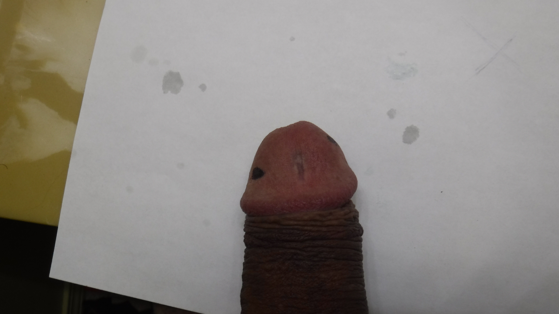 DSCF1105.JPG