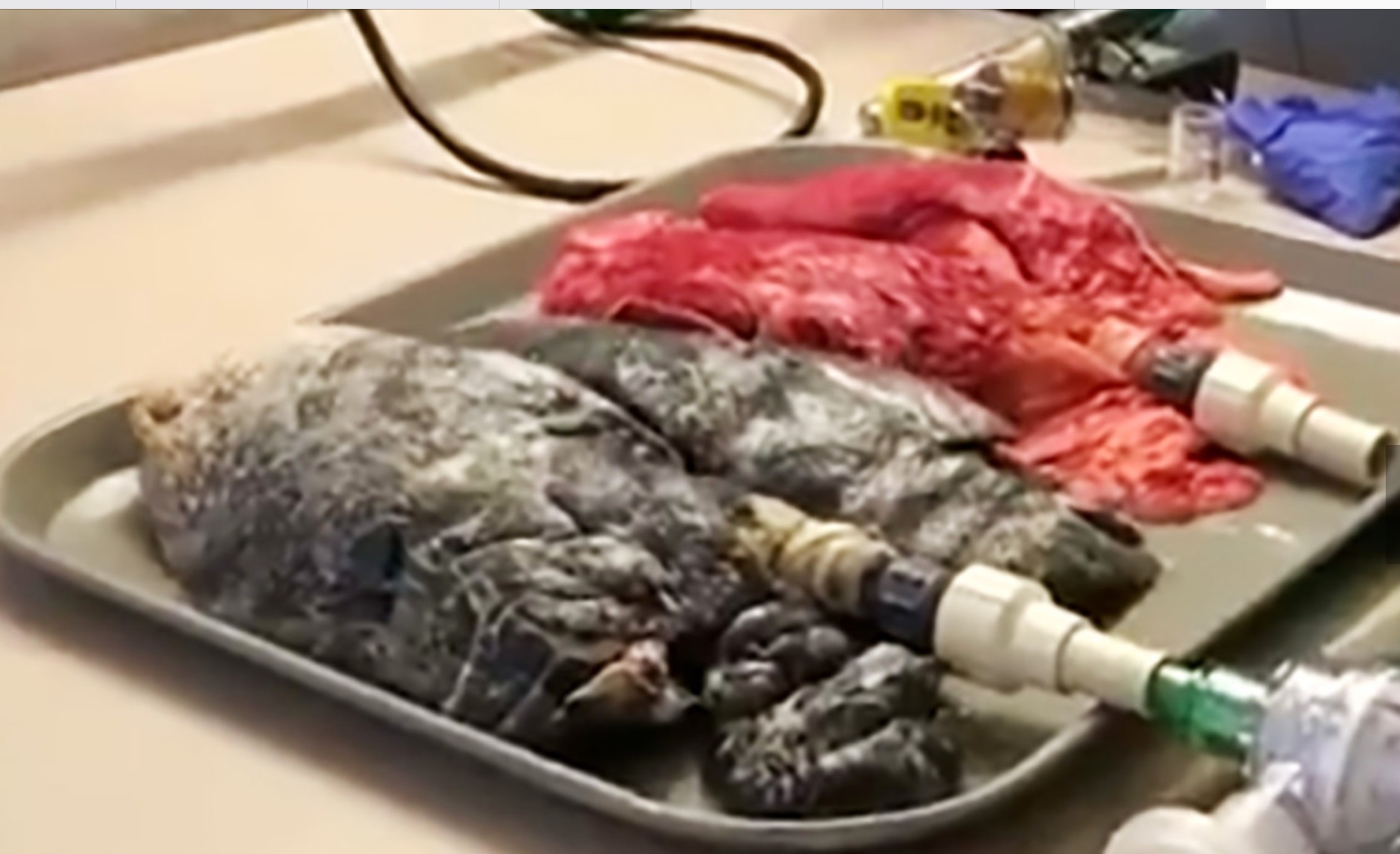 84881798-B41B-4E74-957A-83698E45E97F.jpeg