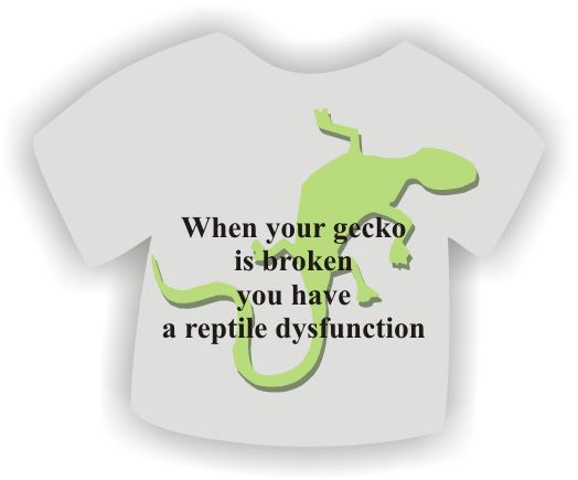 Broken Gecko.jpg