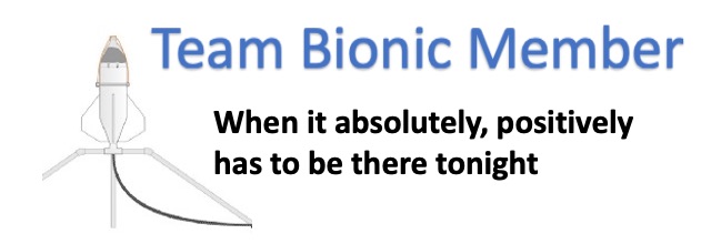 team bionic.jpg